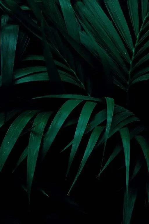 Werbetechnik Chameleon